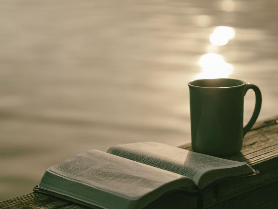 Des lectures pour évoluer, comprendre…